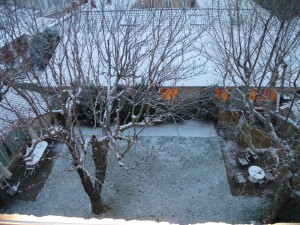 Our garden in the snow